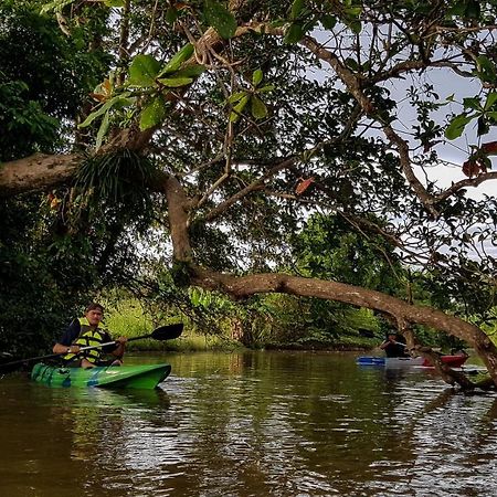 Riverview Homestay Perlis كانجار المظهر الخارجي الصورة
