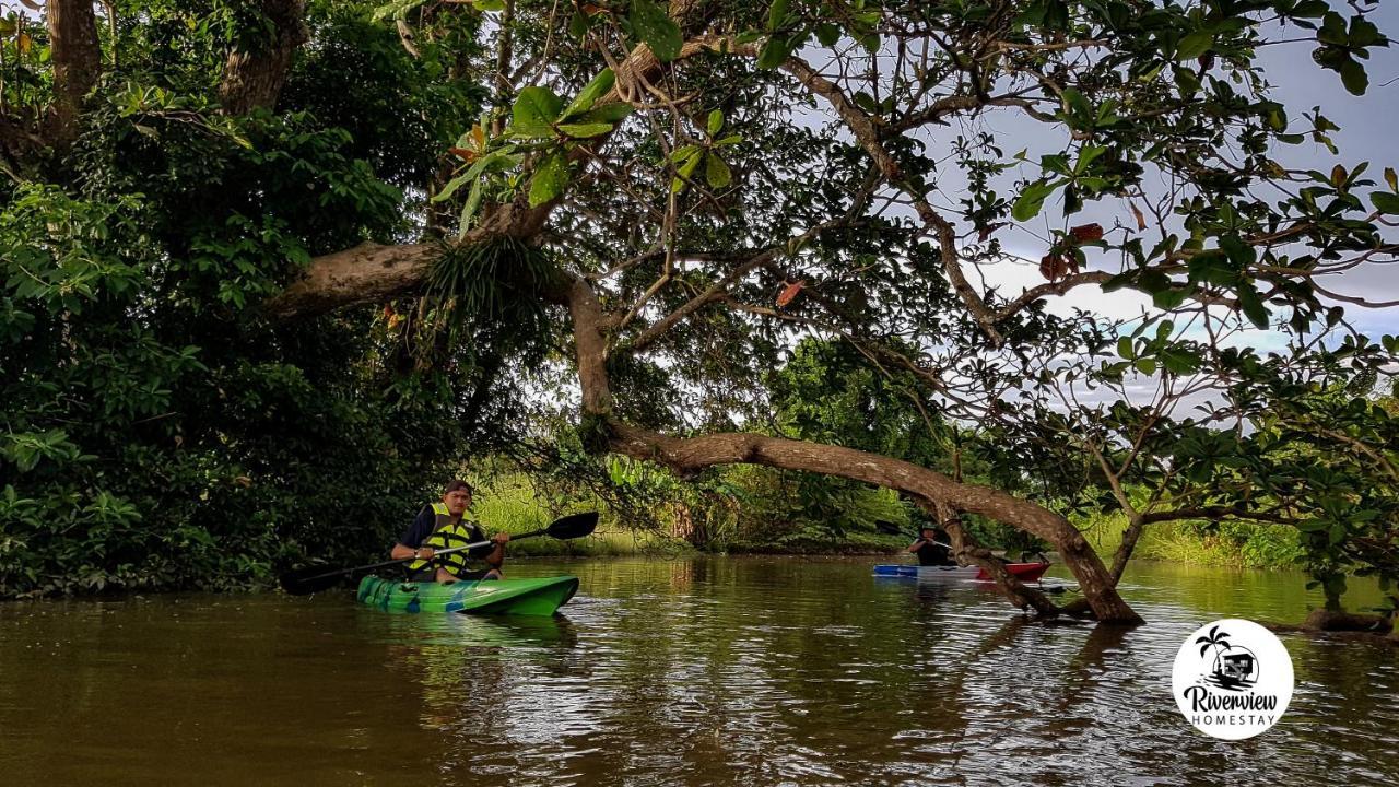 Riverview Homestay Perlis كانجار المظهر الخارجي الصورة